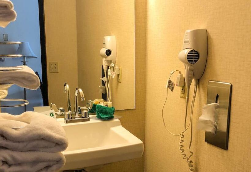 适合残疾人士使用的带超级大床的标准间, Colonial Inn Ellsworth