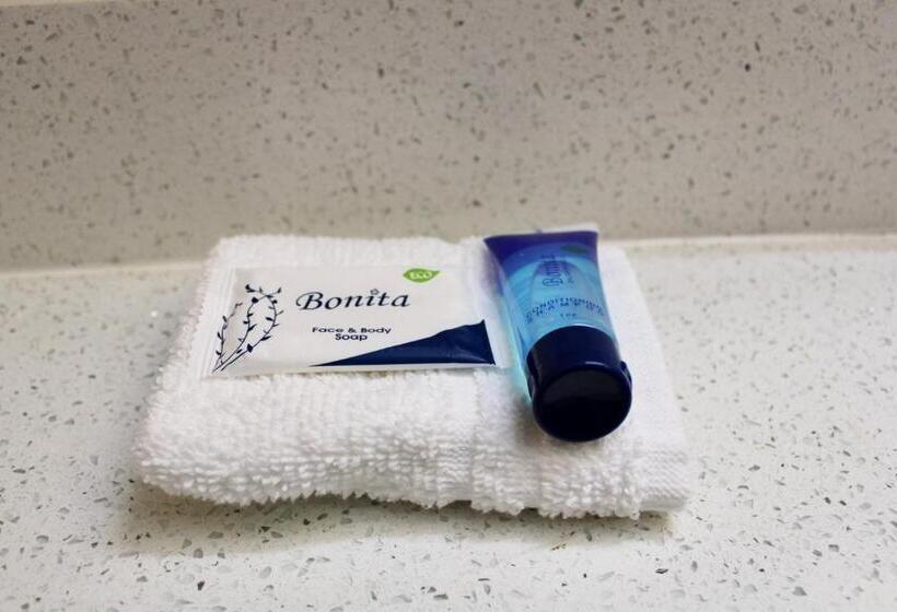 Номер Стандарт, Hometown Inn & Suites