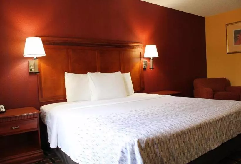 اتاق استاندارد با تخت بزرگ, Hometown Inn & Suites