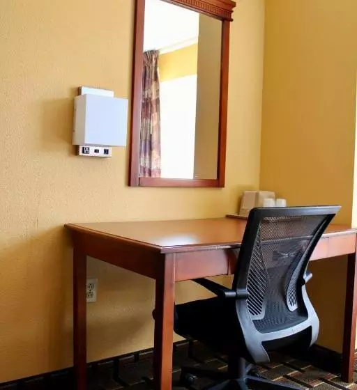 اتاق استاندارد با تخت بزرگ, Hometown Inn & Suites