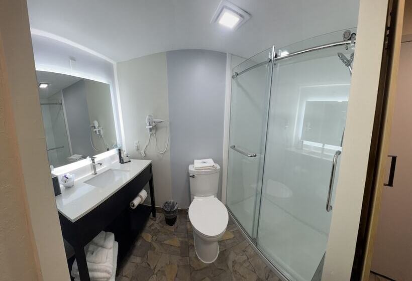 带海景的带双人床的标准间, Ocean Sands Beach Boutique Inn 1 Acre Private Beach St Augustine Historic 2 Miles Shuttle With Downt