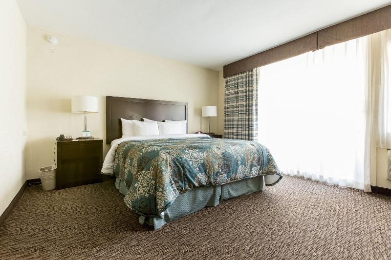 غرفة قياسية سرير كينج, Royal Palace Westwood