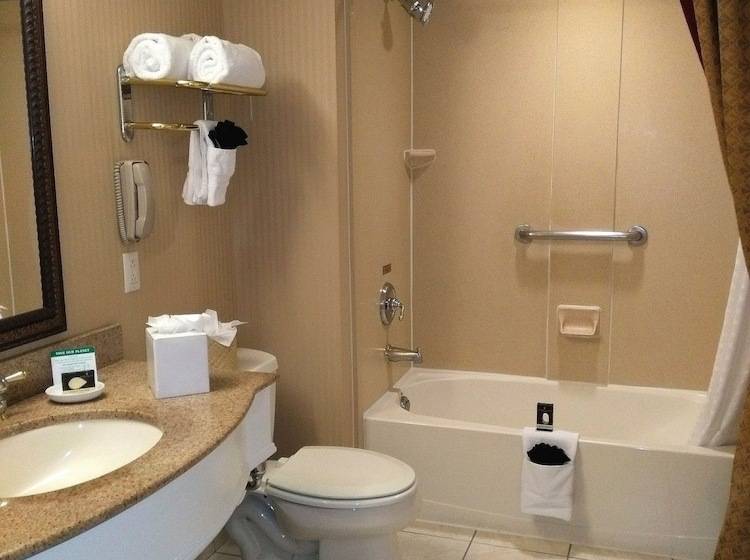 חדר סופריור, The Wilshire Grand