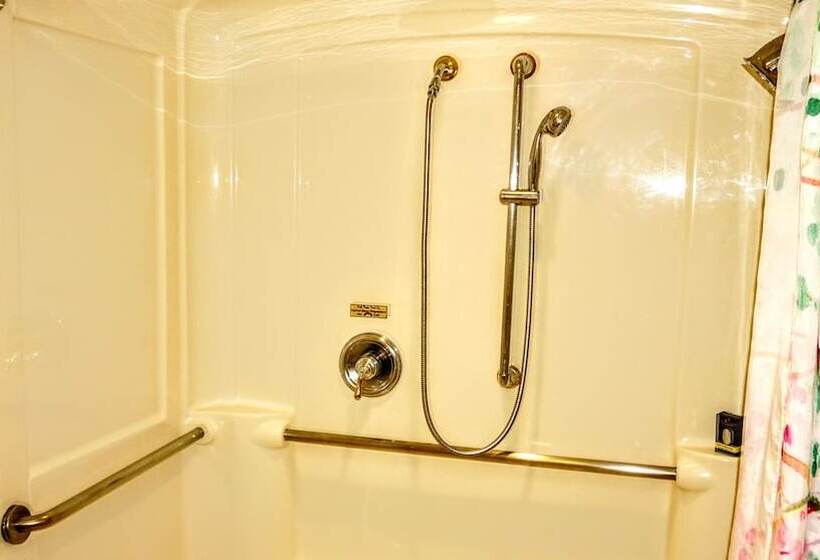 חדר סופריור מותאם לאדם עם מוגבלויות, The Wilshire Grand