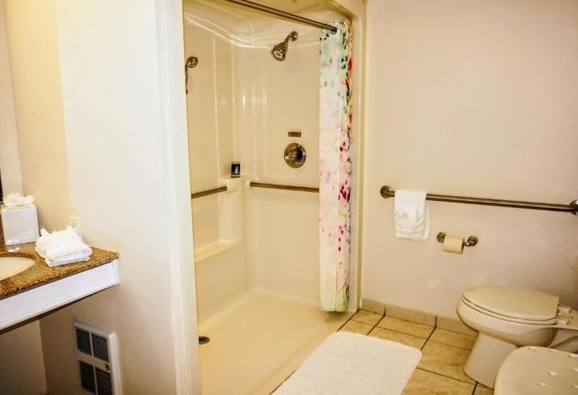 חדר סופריור מותאם לאדם עם מוגבלויות, The Wilshire Grand