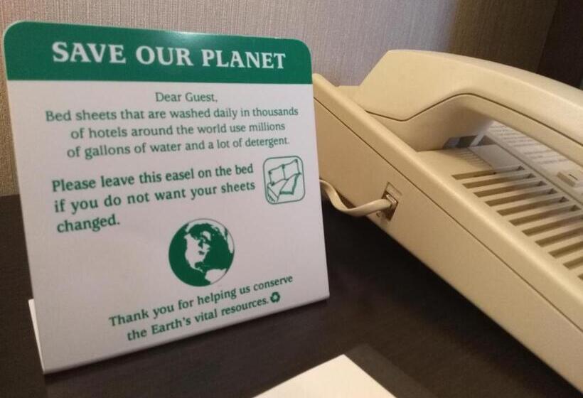 מיטת קינג בסוויטה, The Wilshire Grand