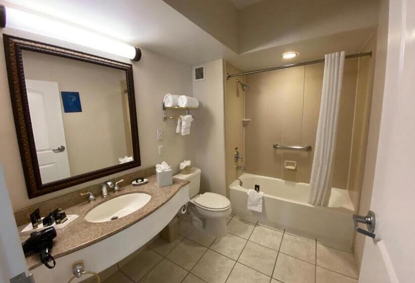 חדר סופריור, The Wilshire Grand