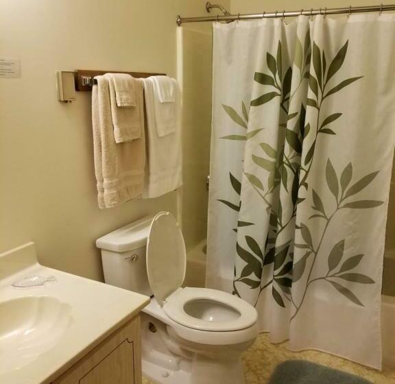Семейный Номер, Kancamagus Swift River Inn