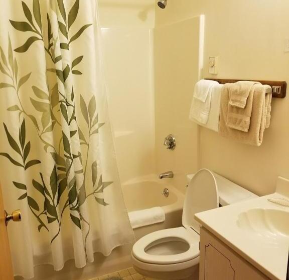 디럭스 룸, Kancamagus Swift River Inn