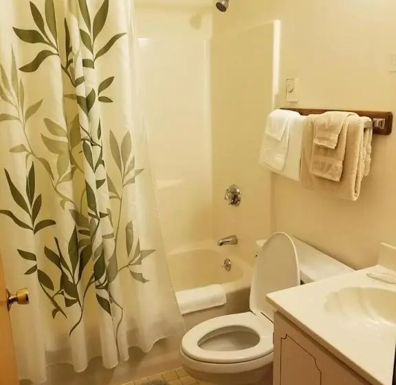 デラックスルーム, Kancamagus Swift River Inn