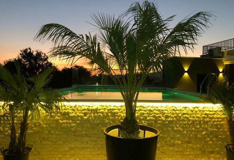 استودیو استاندارد با چشم‌انداز استخر, Am Palace