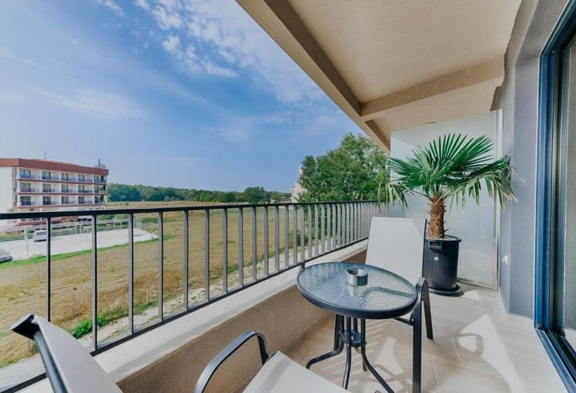 اتاق استاندارد با بالکن, Am Palace