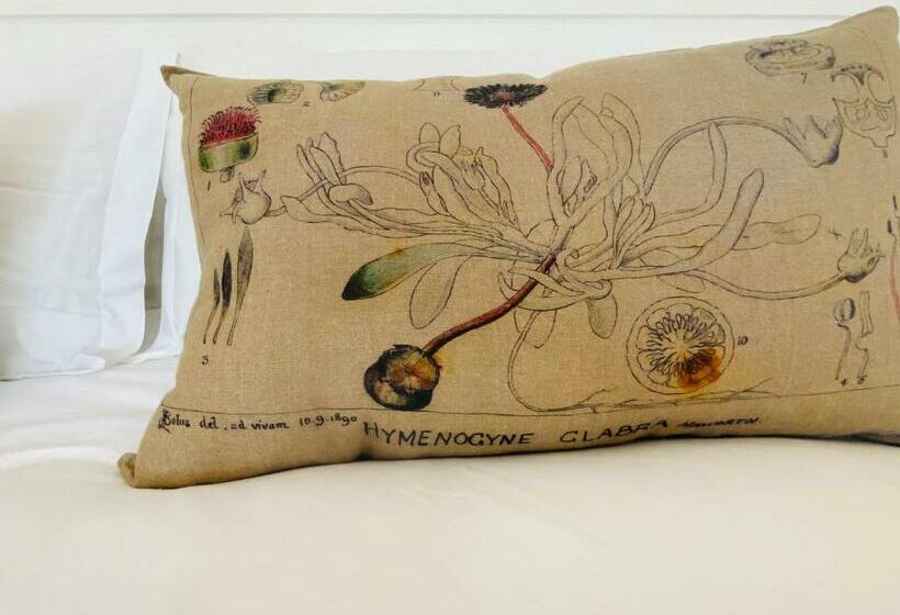 غرفة سوبيريور سرير كينج, Barrington's