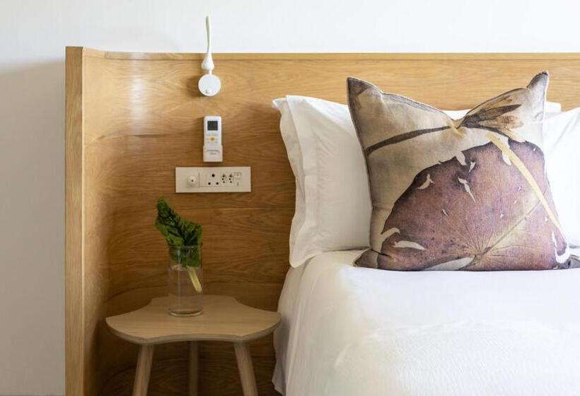 غرفة قياسية, Barrington's