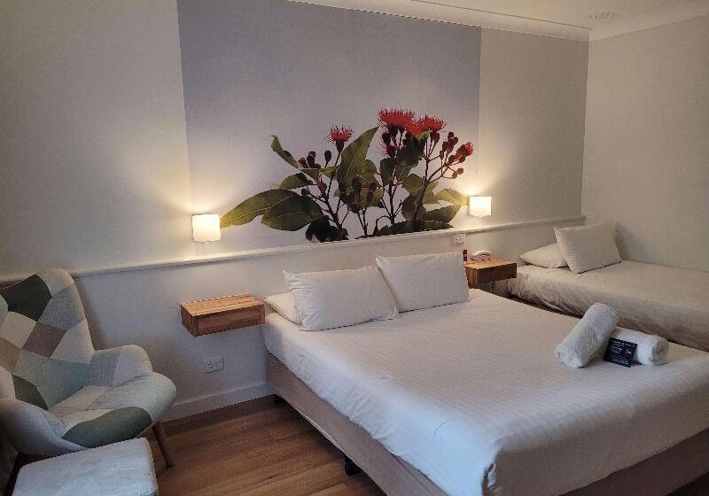 Camera Standard, Green View