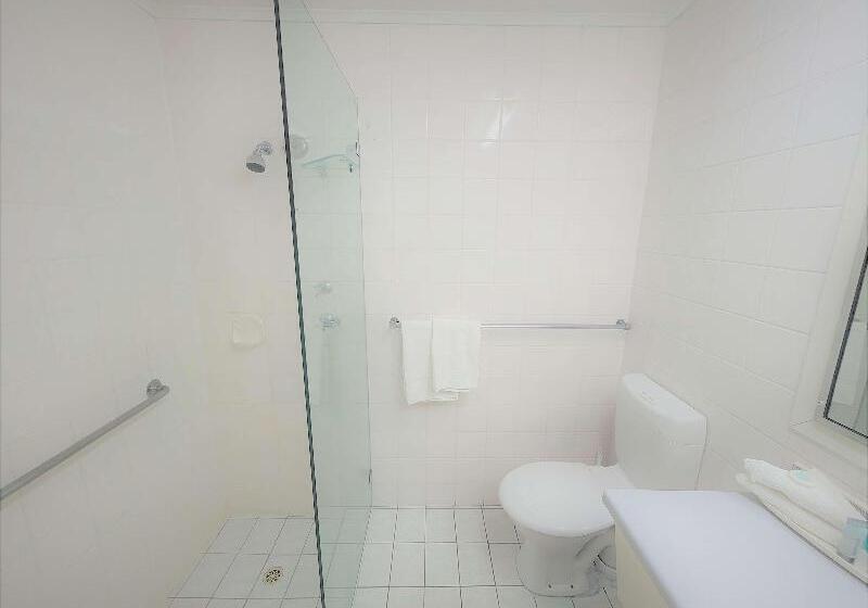 Camera Standard, Green View