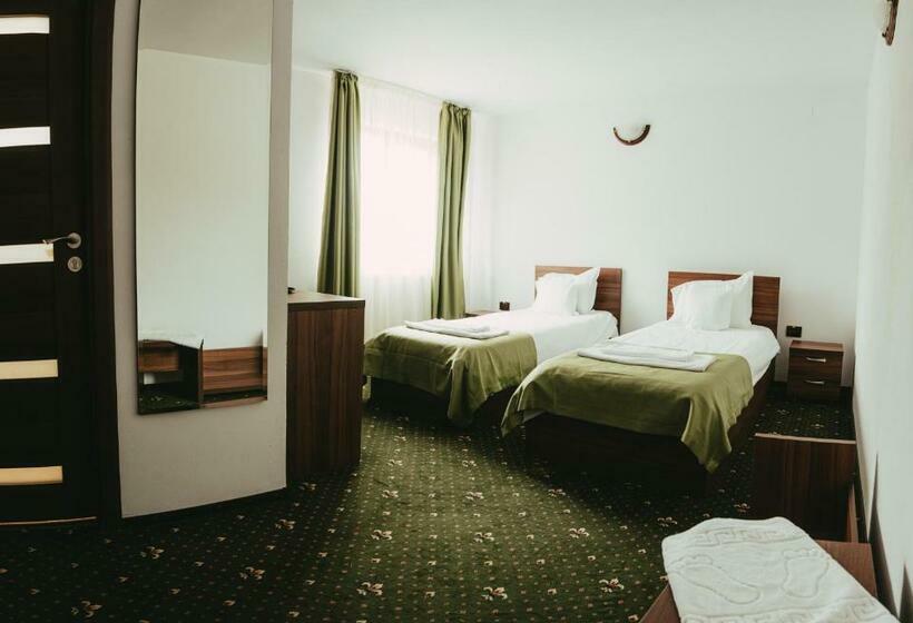 スタンダードルーム, Pensiunea 3 Brazi Zarnesti