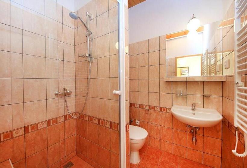 חדר סטנדרט, Penzion Folbr