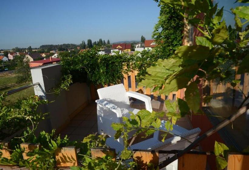 חדר סטנדרט עם מרפסת, Penzion Folbr