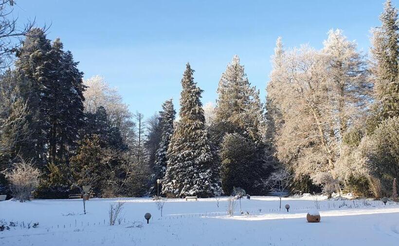 جناح مطلّ علي الحديقة, Maisonmazerand