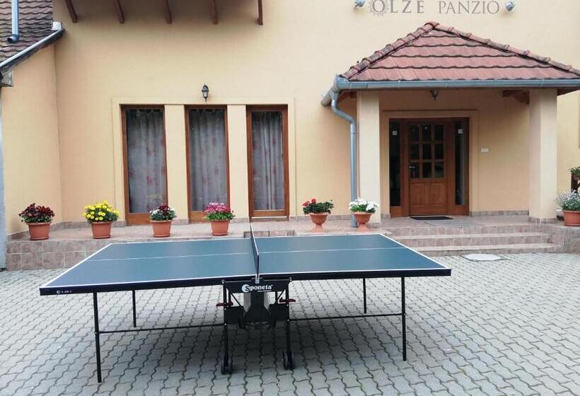 חדר סטנדרט, Olze Panzió