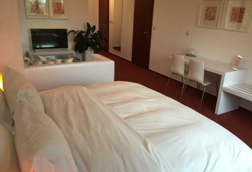 דירת חדר דלוקס, Cvilín