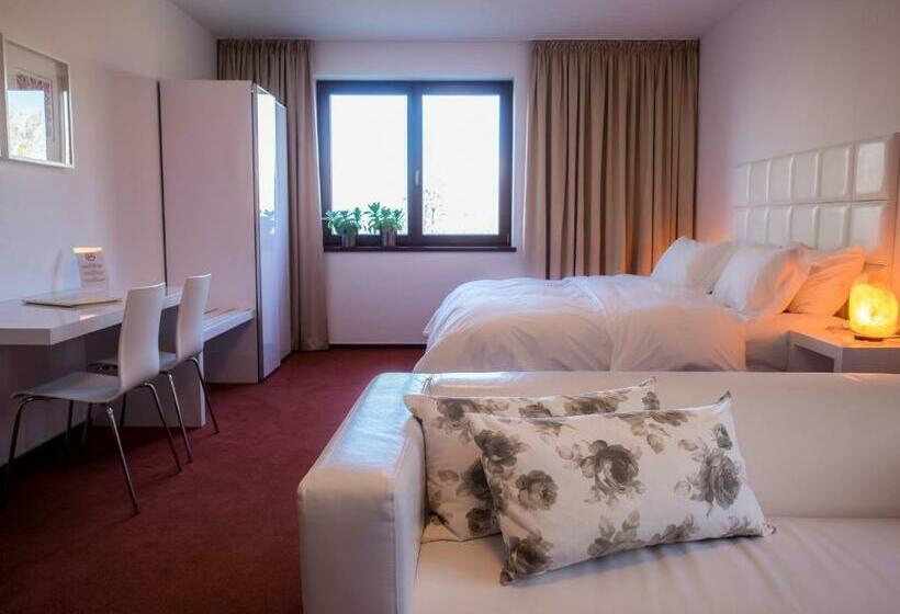 דירת חדר דלוקס, Cvilín