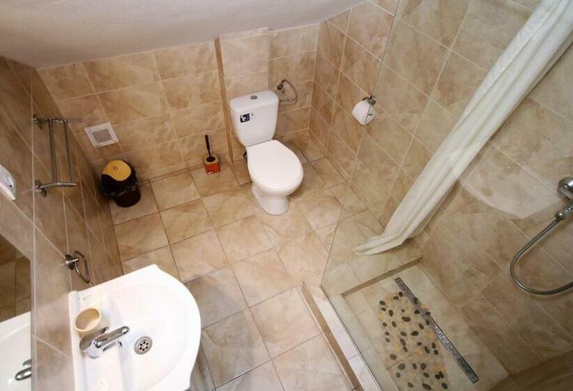 オーシャンビューのデラックストリプルルーム, Vila Golful Dunării