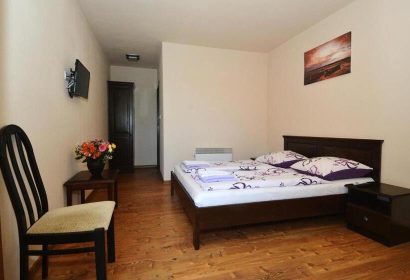 片側に海が見えるデラックスルーム, Vila Golful Dunării