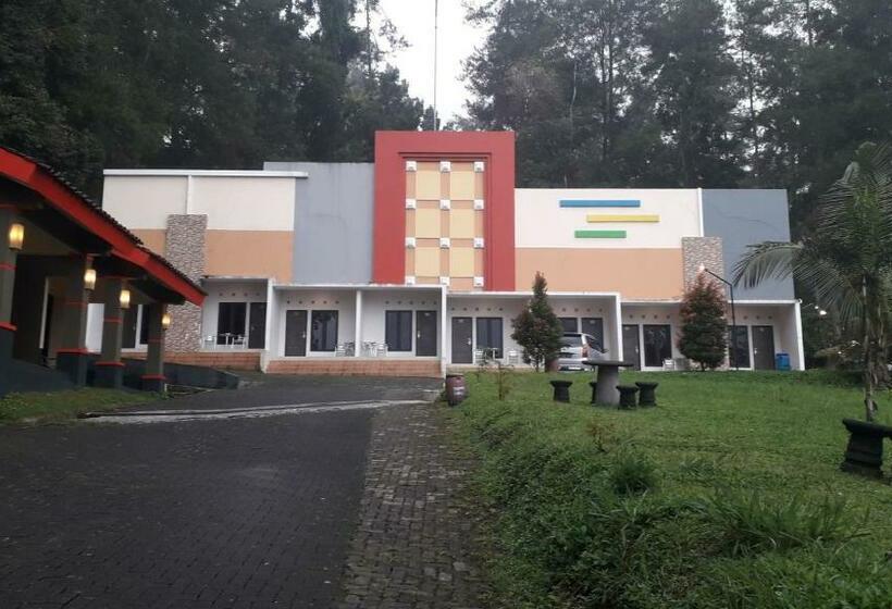 高级大房间, Surya Hotel & Resort