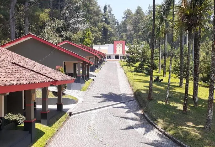 Camera Deluxe, Surya Hotel & Resort