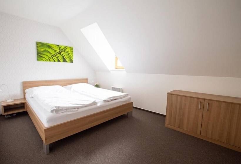 带1个卧室的公寓套房, Wellness Apartmány říčky V Orlických Horách