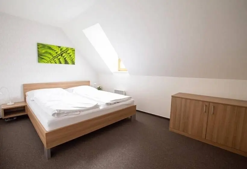 １ベッドルームスタンダードメゾネ, Wellness Apartmány říčky V Orlických Horách