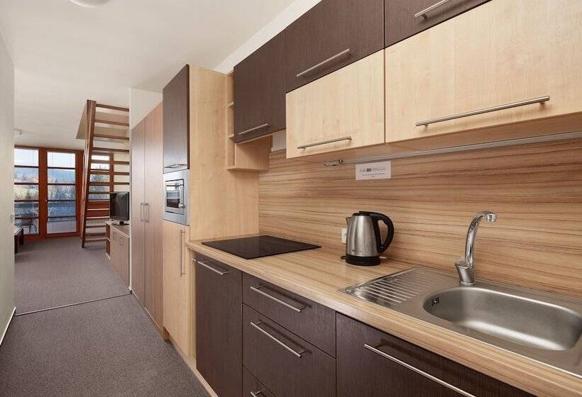 带1个卧室的公寓套房, Wellness Apartmány říčky V Orlických Horách