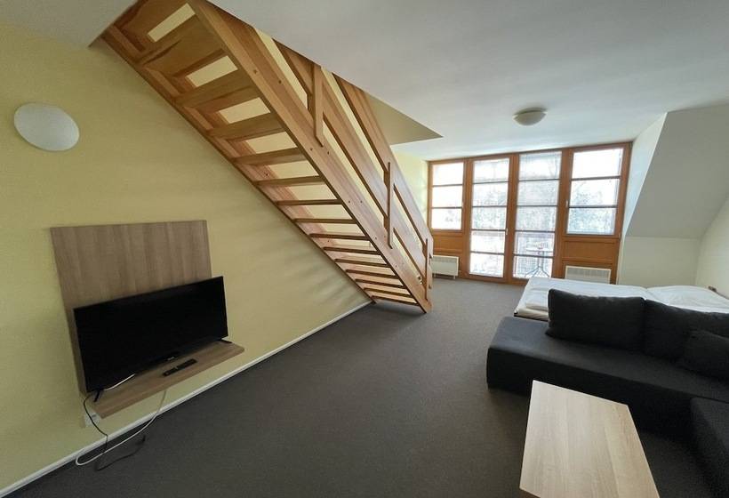 带1个卧室的公寓套房, Wellness Apartmány říčky V Orlických Horách