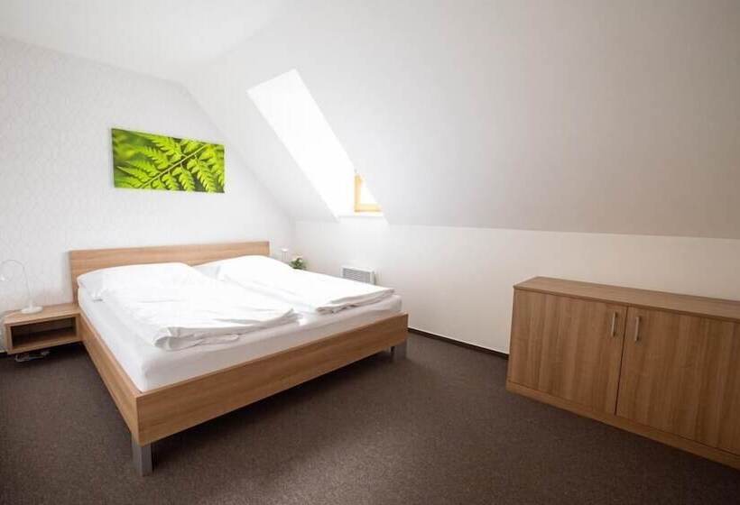 带1个卧室的公寓套房, Wellness Apartmány říčky V Orlických Horách