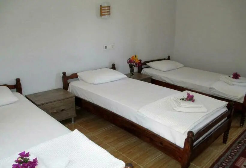 اتاق استاندارد سه نفره, Eucalyptus Pension
