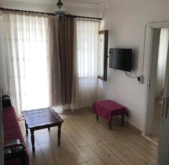 آپارتمان 1 خوابه با بالکن, Eucalyptus Pension