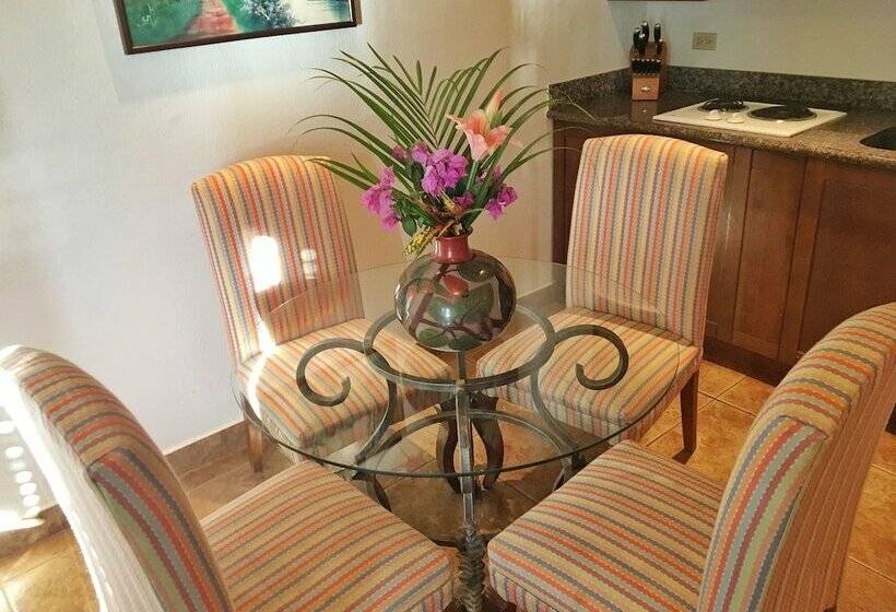 豪华单人间, Suite Rivas 126 Gran Pacifica Resort