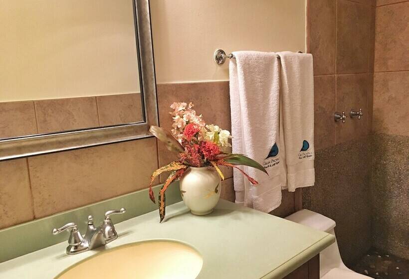 豪华单人间, Suite Rivas 126 Gran Pacifica Resort