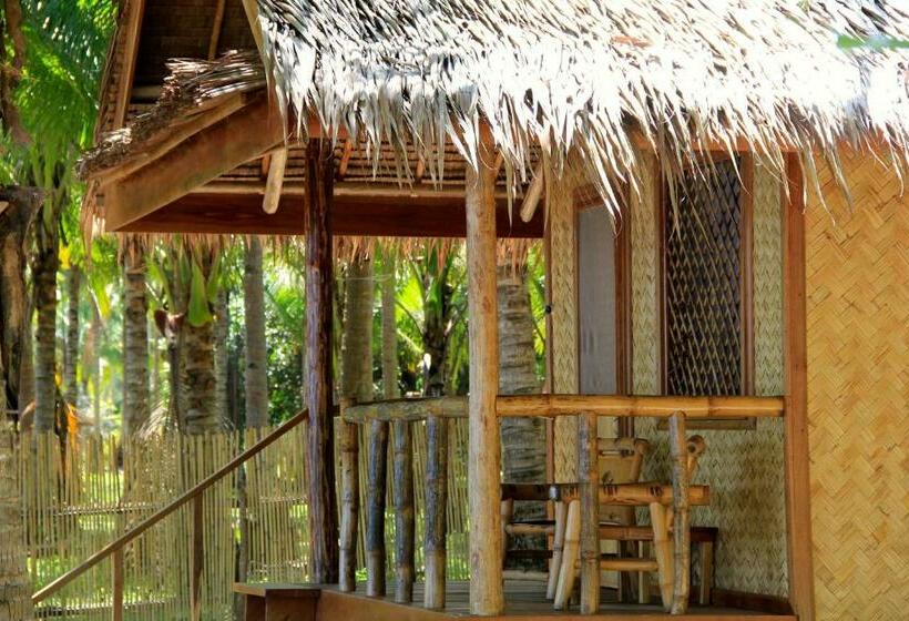 بانگلوی استاندارد, Sunset Colors