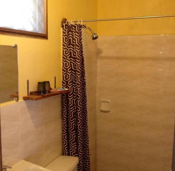 بانگلوی استاندارد, Sunset Colors