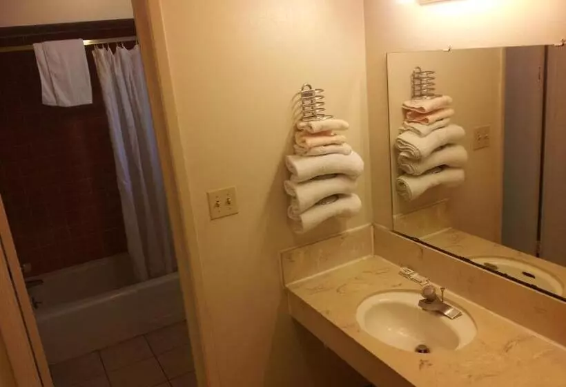 اتاق استاندارد با تخت بزرگ, El Rancho Motel Lodi