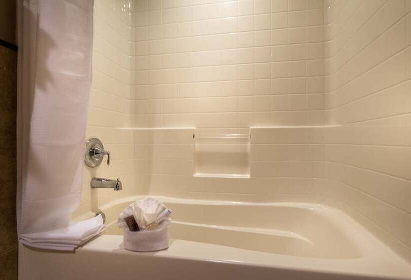 디럭스 룸 도시 전망, Ayres Hotel Seal Beach