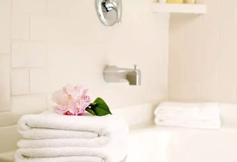 اتاق لوکس با چشم‌انداز شهر, Ayres Hotel Seal Beach