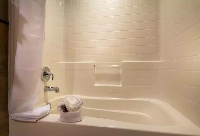 اتاق داخلی دلوکس, Ayres Hotel Seal Beach