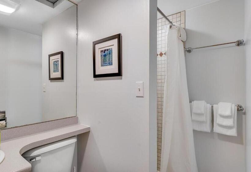 آپارتمان 3 خوابه, Bridges Resort