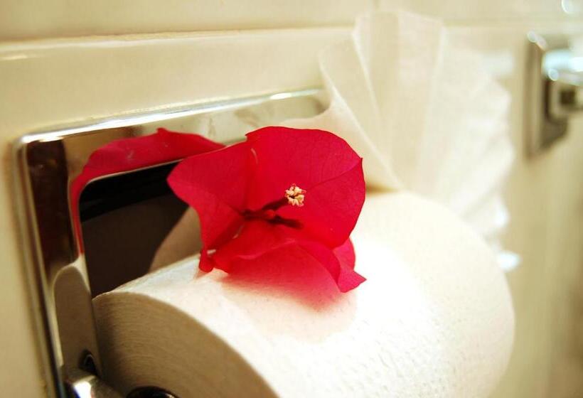 Номер Стандарт Индивидуальный, Del Principado