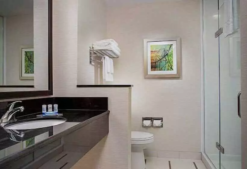 スタンダードスタジオ, Fairfield Inn & Suites By Marriott Atlanta Buford/mall Of Georgia