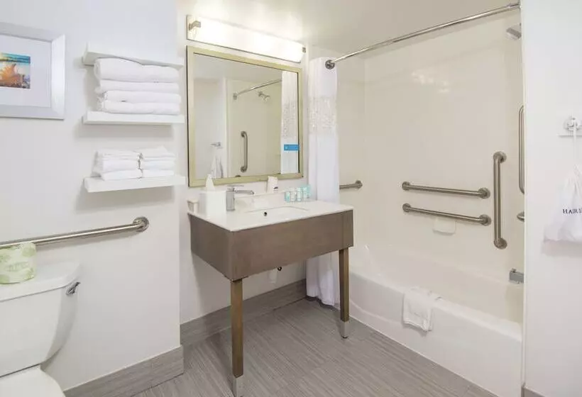 اتاق استاندارد با تخت بزرگ برای معلولان, Hampton Inn Jacksonville South/i 95 At Jtb